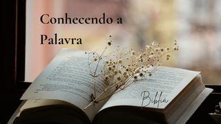 Conhecendo a Palavra João 1:1-4 Nova Bíblia Viva Português