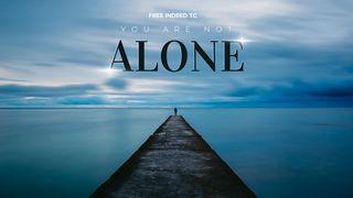 You Are Not Alone Psalm 19:7-11 King James Version