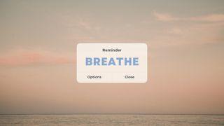 Breathe