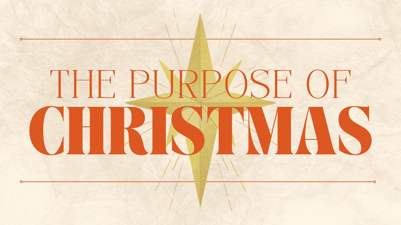 The Purpose of Christmas