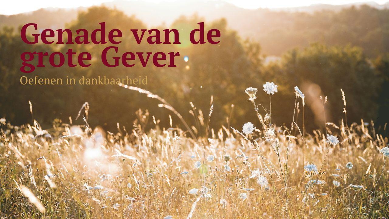 Genade van de grote Gever