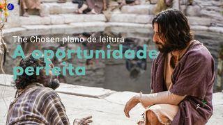 A Oportunidade Perfeita (S2-E4) Levítico 23:33-36 O Livro