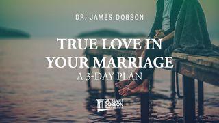 True Love in Your Marriage: A 3-Day Marriage Plan 1 Johannes 4:7 Het Boek