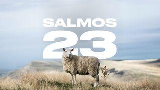 Os Mistérios Do Salmo 23