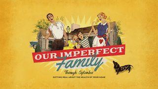 Our Imperfect Family Spreuken 17:27 Het Boek