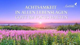 Achtsamkeit in Allen Lebenslagen – Gott Im Fokus Halten Matthäus 4:7 Albrecht NT und Psalmen