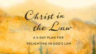 Christ in the Law: A 5-Day Plan to Delighting in God’s Law Acts 13:38 New International Version