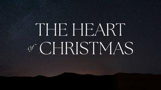 The Heart of Christmas Deuteronomy 33:24 New American Standard Bible - NASB 1995