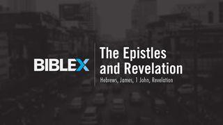 BibleX: The Epistles & Revelation  De Openbaring van Johannes 6:5-6 Statenvertaling (Importantia edition)