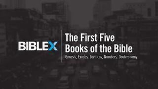 BibleX: The First 5 Books of the Bible  Exodus 7:17 Contemporary English Version (Anglicised) 2012