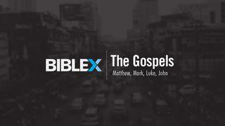 BibleX: The Gospels  Luke 11:37 New International Version