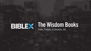 BibleX: The Wisdom Books  ЭКЛЕЗІЯСТ 2:14 Біблія (пераклад А.Бокуна)