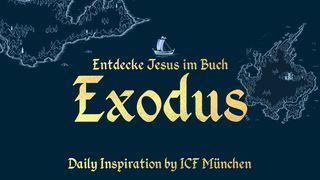 Entdecke Jesus Im Buch Exodus 2. Mose 3:12 Hoffnung für alle