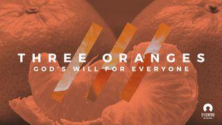 Three Oranges: God's Will for Everyone Deuteronomium 5:21 BasisBijbel