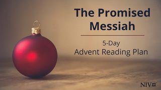 The Promised Messiah - 5-Day Advent Reading Plan Матфейица бицараб Рохалил хабар 4:17 Инжил