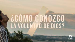 ¿Cómo conozco la voluntad de Dios?  Jonás 4:10-11 Biblia Reina Valera 1960