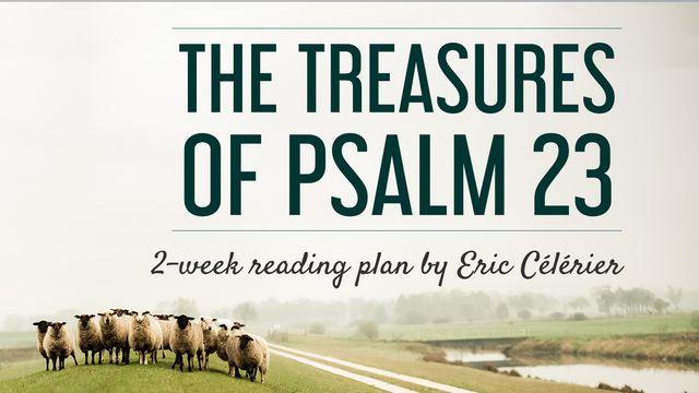 The Treasures Of Psalm 23
