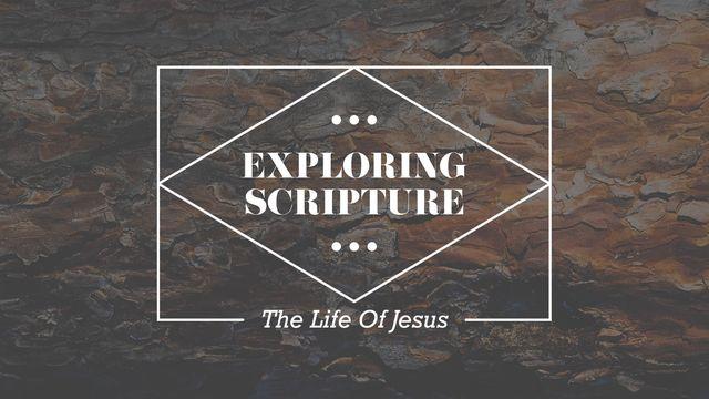 Exploring Scripture: The Life of Jesus