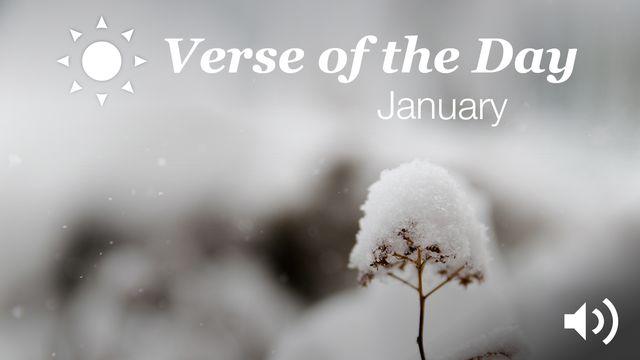 YouVersion Verse Of The Day: January