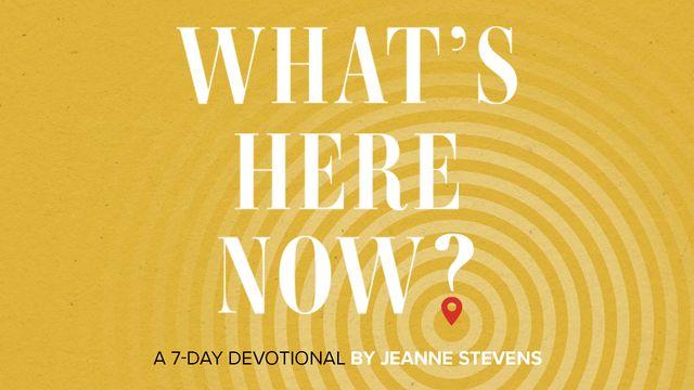 What's Here Now?