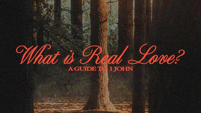What Is Real Love? A Guide to 1 John