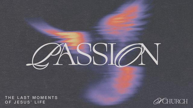 Passion: The Last Moments of Jesus' Life