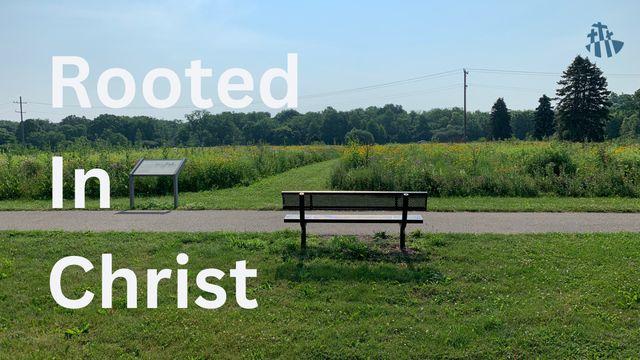 Colossians: Rooted and Built Up in Christ