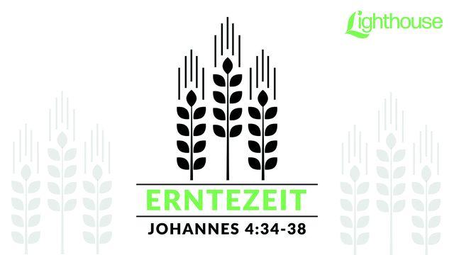 ERNTEZEIT