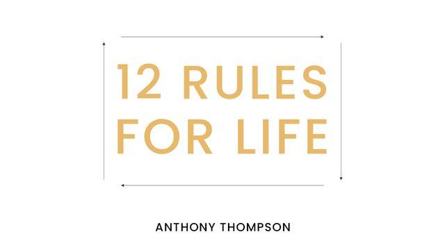 12 Rules for Life (Day 5 - 8)