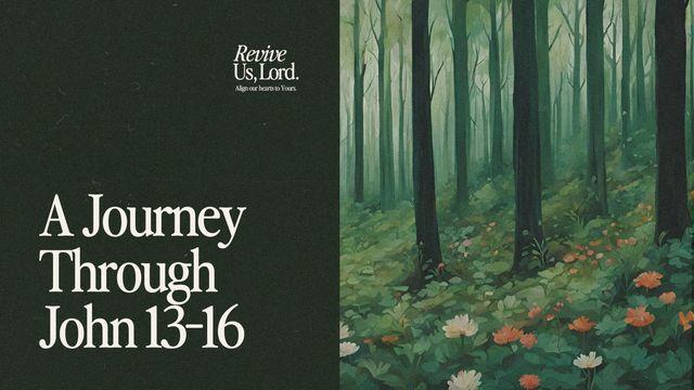 Revive Us, Lord: A Journey Through John 13-16