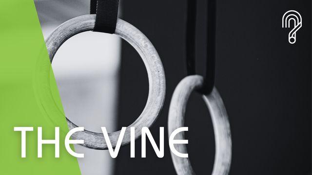The Vine