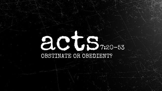 Acts 7:20-53 | Obstinate or Obedient?