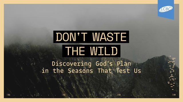 Don’t Waste the Wild: Discovering God's Plan in the Seasons That Test Us