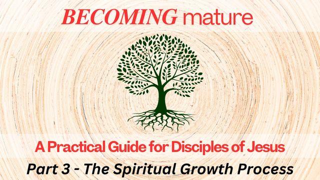 A Practical Guide for Transformative Growth Part 3