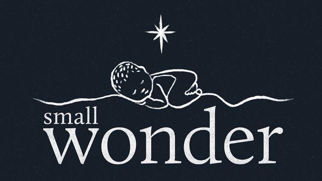 Small Wonder: A Christmas Devotional Journey