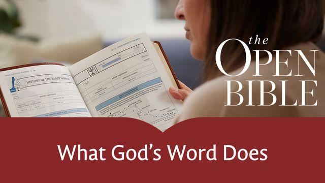 What God's Word Does