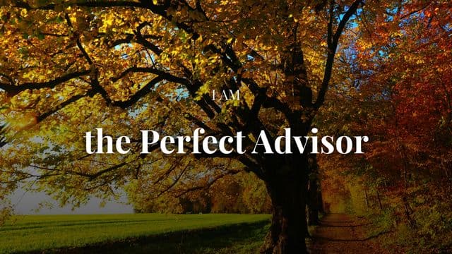 I Am the Perfect Advisor, With Eric Célérier