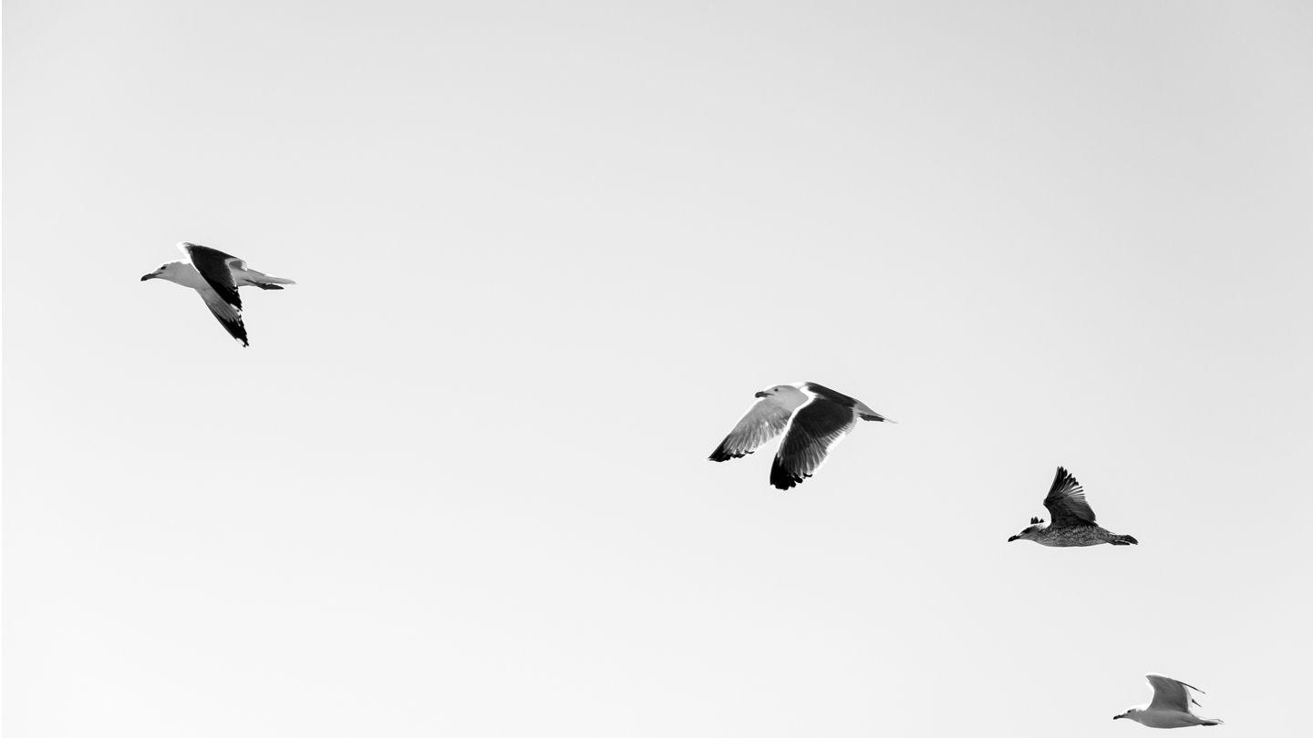 Mattheüs مَتَّى 5 العهد الجديد بالدارجة التونسية 2022