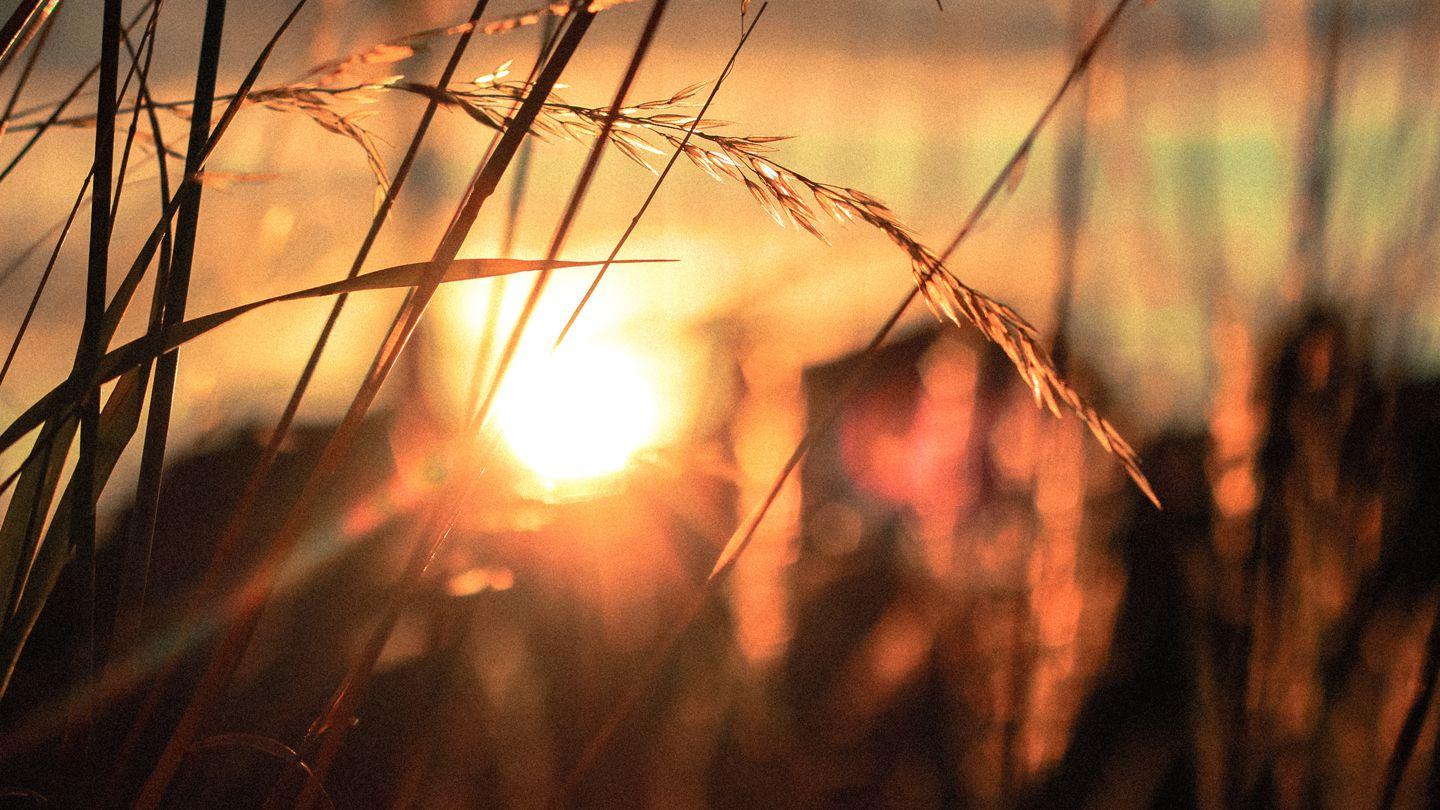 Евангелие от Луки Luka 23 Malagano ga Ambi