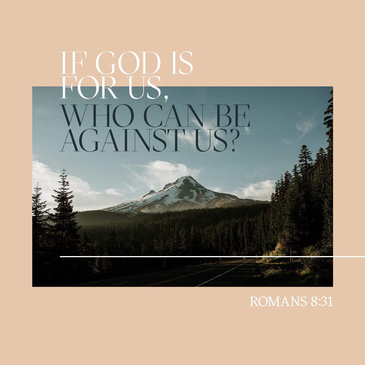 Romans 8:30-32 - And those he predestined, he also called; those he called, he also justified; those he justified, he also glorified.
What, then, shall we say in response to these things? If God is for us, who can be against us? He who did not spare his own Son, but gave him up for us all—how will he not also, along with him, graciously give us all things?