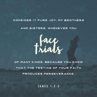 James 1:1-4 - James, a servant of God and of the Lord Jesus Christ,
To the twelve tribes scattered among the nations:
Greetings.
Consider it pure joy, my brothers and sisters, whenever you face trials of many kinds, because you know that the testing of your faith produces perseverance. Let perseverance finish its work so that you may be mature and complete, not lacking anything.