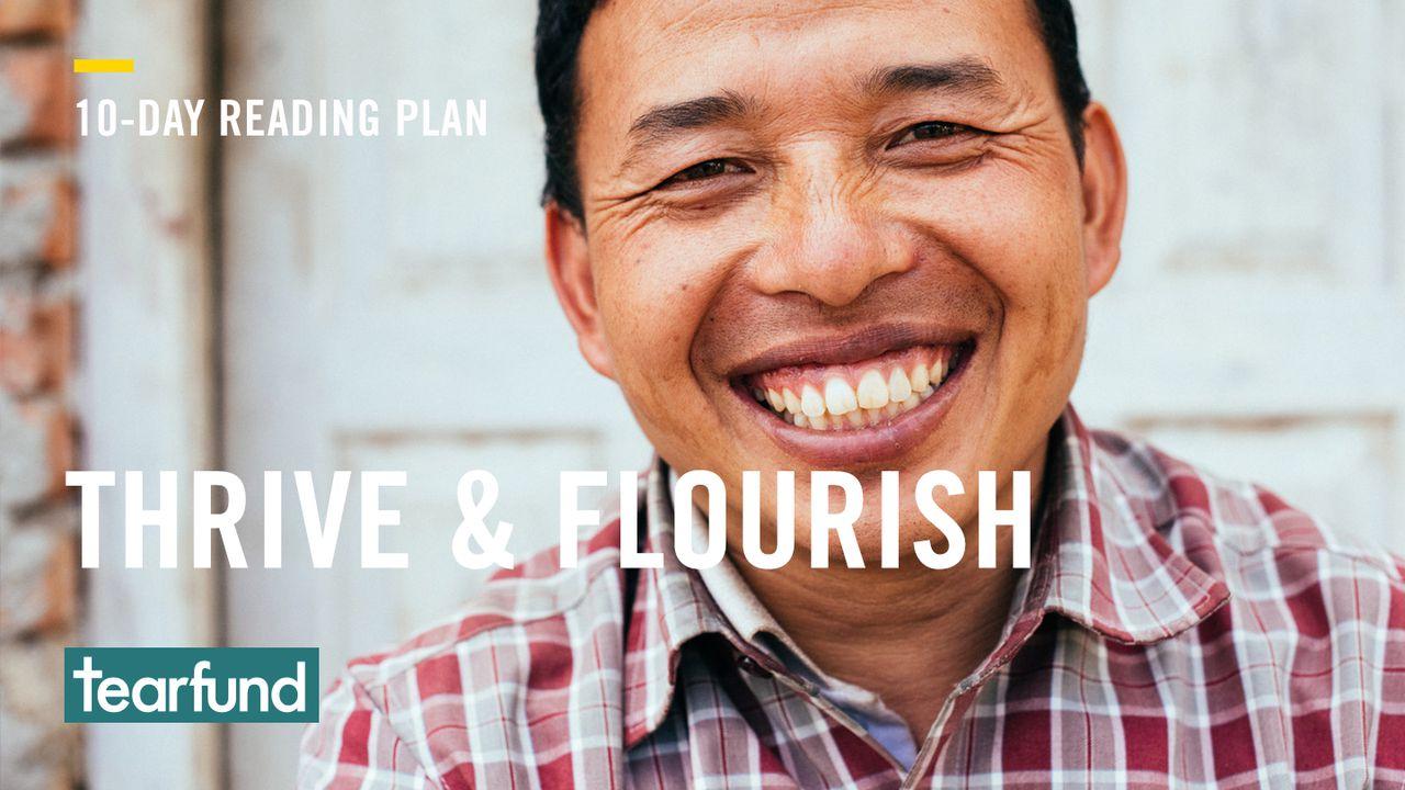 Thrive & Flourish
