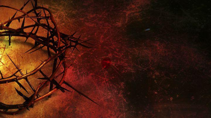 Namísto nás: Postní zamyšlení od Time of Grace