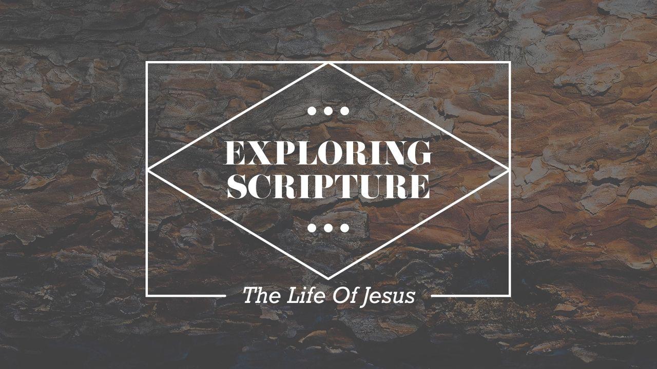 Exploring Scripture: The Life of Jesus