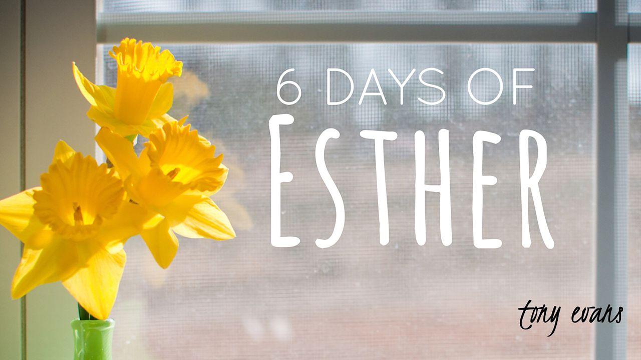 6 Days Of Esther
