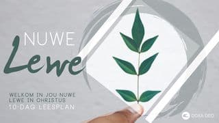Nuwe Lewe: 10-dae Leesplan deur Doxa Deo