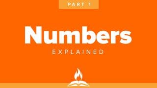 Numbers Explained | Learning to Walk by Faith
