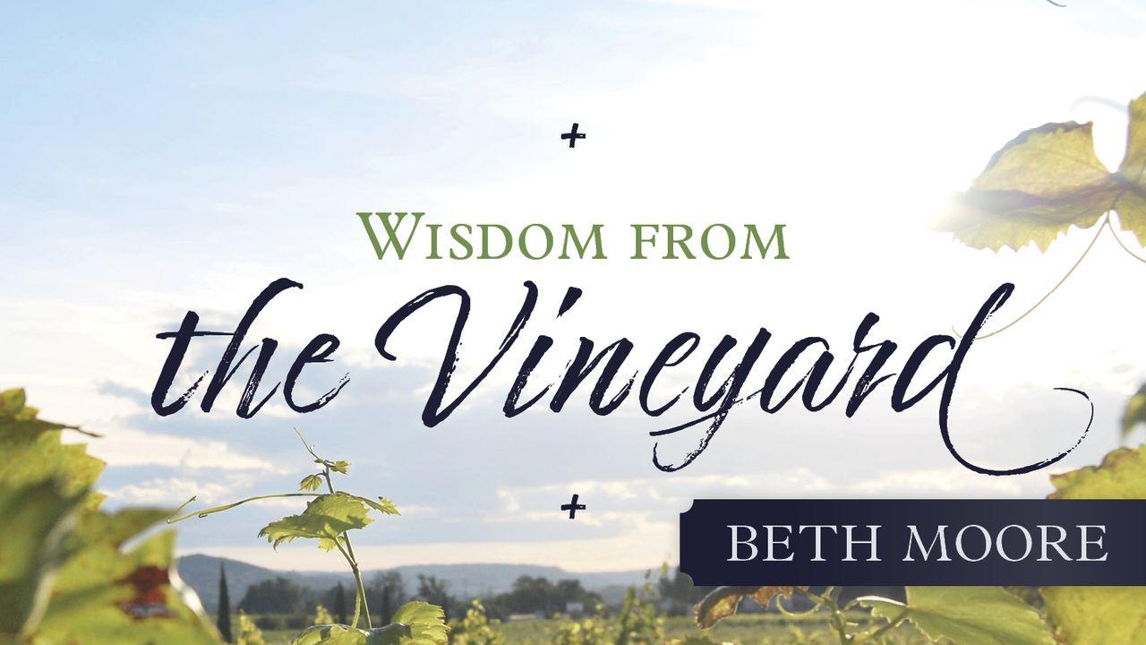 Wisdom from the Vinyard by Beth Moore