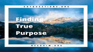Finding True Purpose