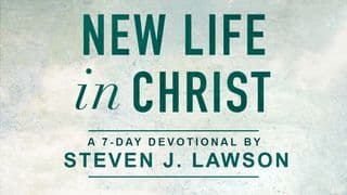 New Life In Christ